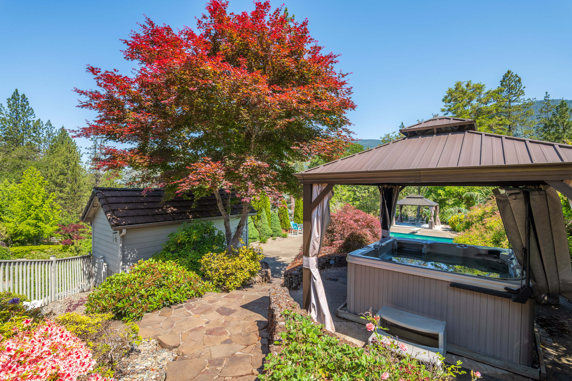 Hot tub under a curtained gazebo beside the pool, with a Japanese maple nearby